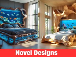Stunning Aquarium Beds You Need to See to Believe