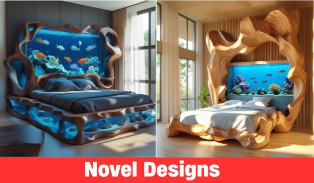 Stunning Aquarium Beds You Need to See to Believe